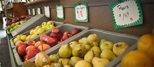 Holden Brothers Farm Market
