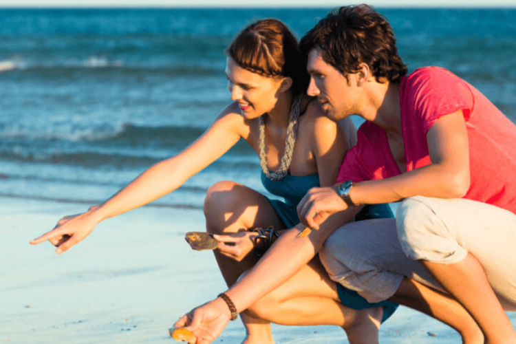 couple looking for shells on the beach