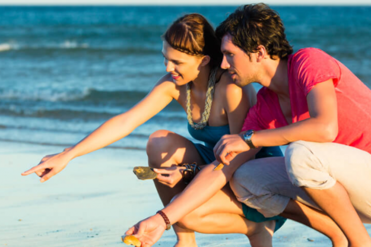 couple looking for shells on the beach