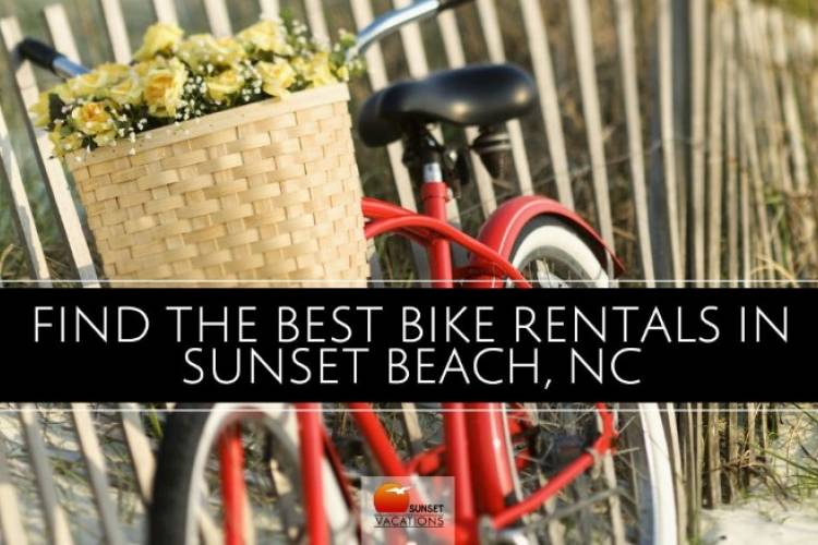 bike with a basket full of flowers at the beach