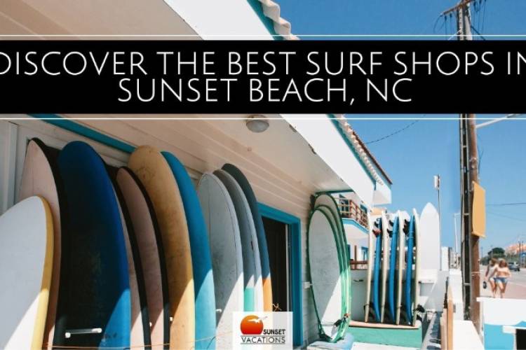exterior photo of a surf shop with surfboards along the walls