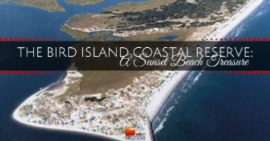 Bird Island Coastal Reserve | Sunset Vacations