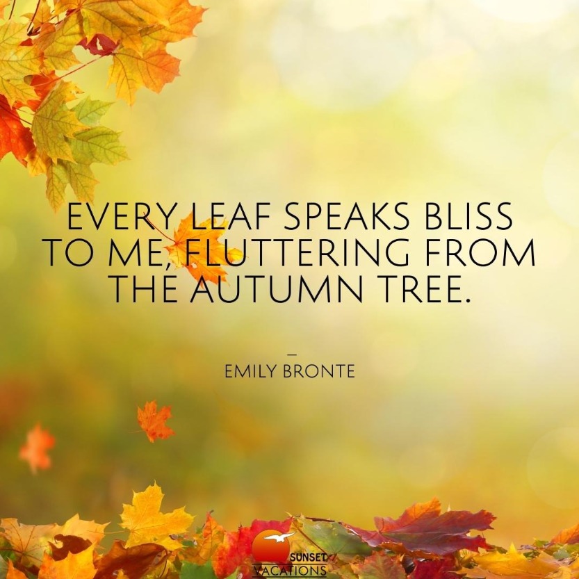 8 Thoughtful Quotes for the Fall Season | Sunset Vacations