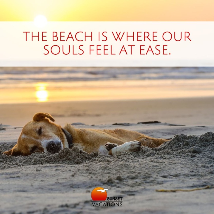Embrace the Magic of Summer with these 8 Beach Quotes | Sunset Vacations