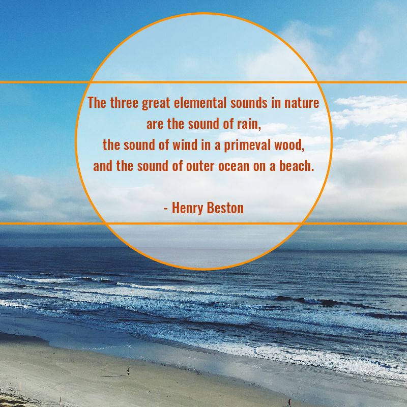 10 Beach Quotes That Will Transport You To Magical Bliss