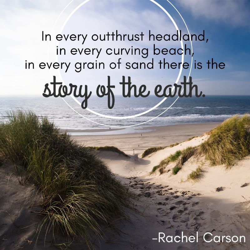 10 Beach Quotes That Will Transport You To Magical Bliss