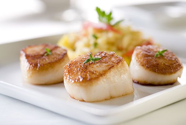 Scallops