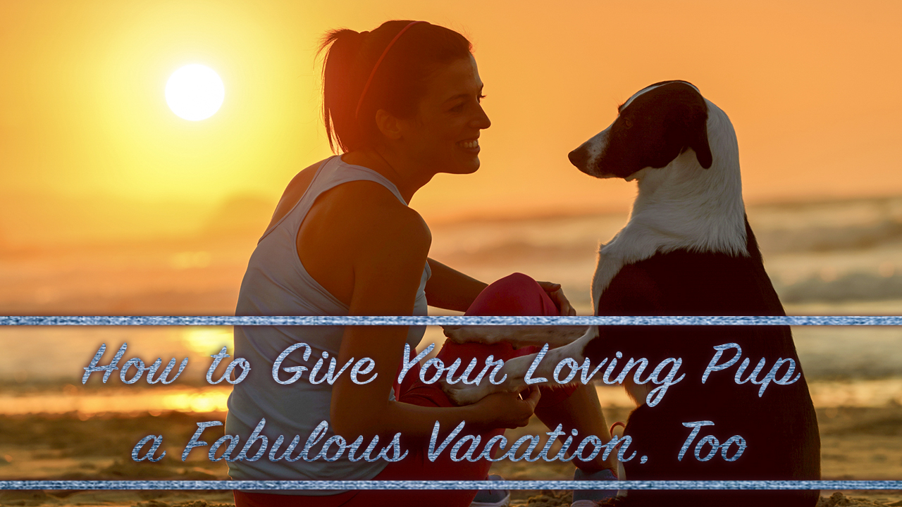 how-to-give-your-loving-pup-a-fabulous-vacation-too