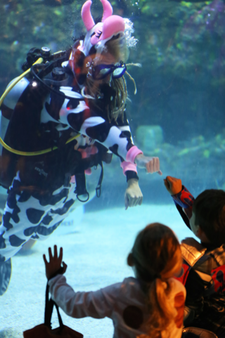 NC Aquarium Trick or Treat Under the Sea | Sunset Vacations