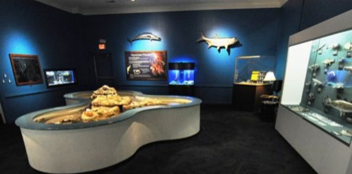 Museum Of Coastal Carolina | Sunset Vacations