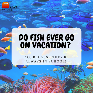 Beach Jokes - Fish | Sunset Vacations