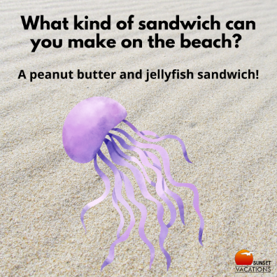Beach Jokes - Jellyfish | Sunset Vacations