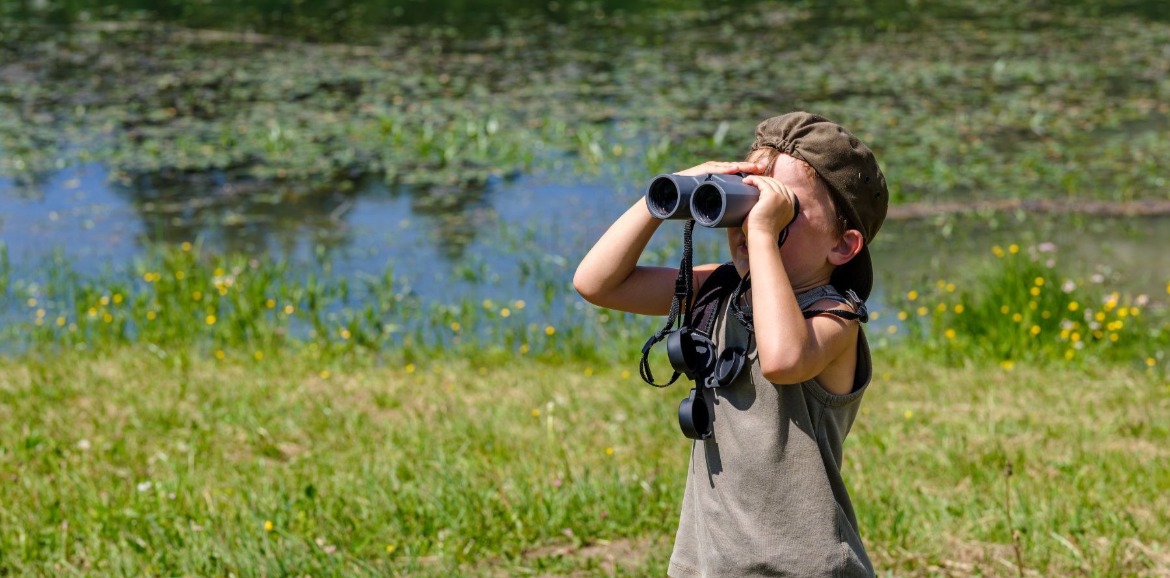 Bird Watching for Beginners: How to Bird Watch on Your Beach Vacation | Sunset Vacations