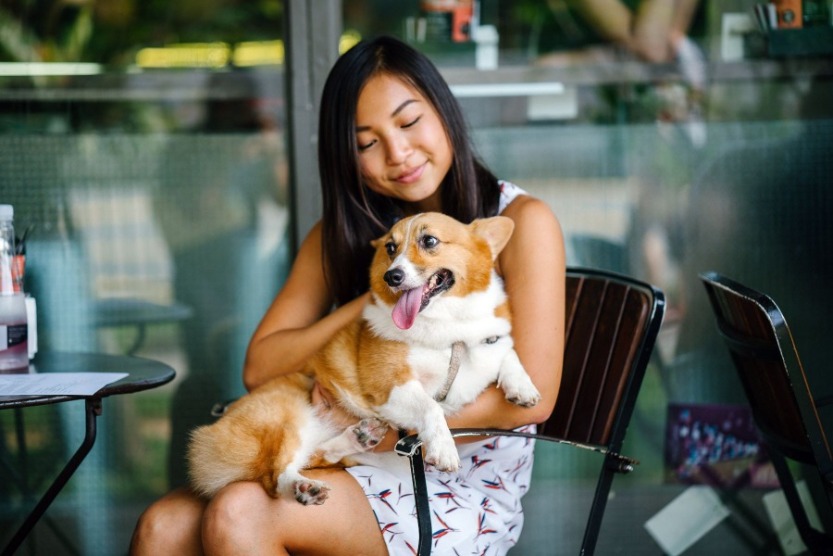 Dog and Owner at Dog-Friendly Restaurants | Sunset Vacations