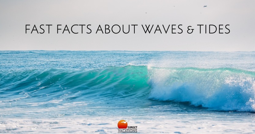 Fast Facts About Waves and Tides