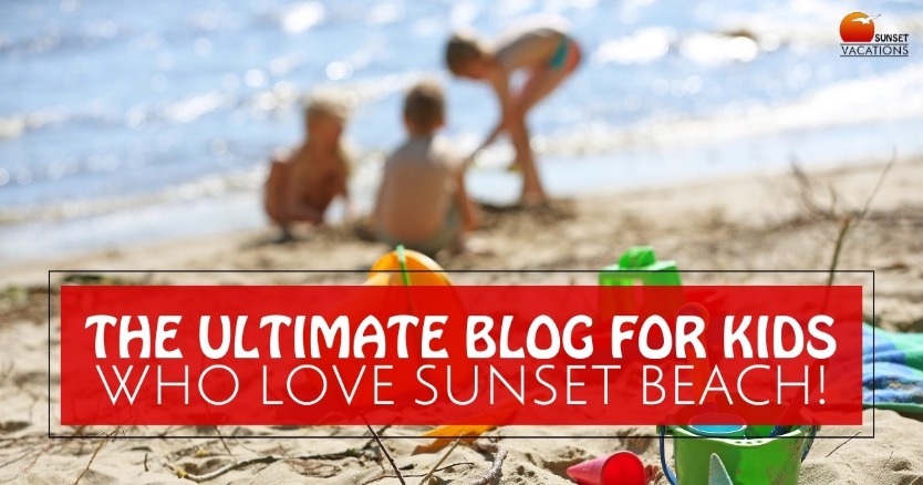 The ULTIMATE Blog for Kids Who Love Sunset Beach!
