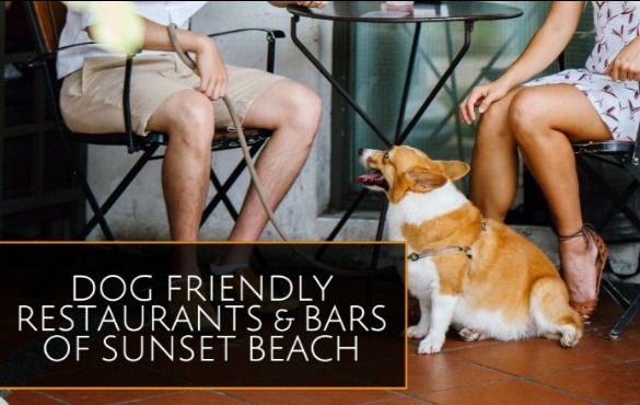 Dog Friendly Sunset Beach | Sunset Vacations