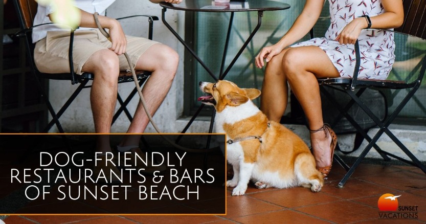 Dog Friendly Restaurants & Bars of Sunset Beach