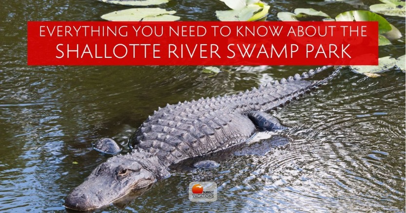 Everything You Need to Know About the Shallotte River Swamp Park | Sunset Vacations