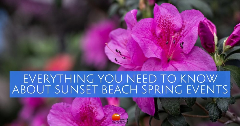 Everything You Need to Know About Sunset Beach Spring Events | Sunset Vacations