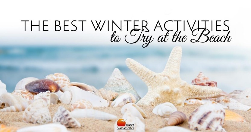 The Best Winter Activities to Try at the Beach