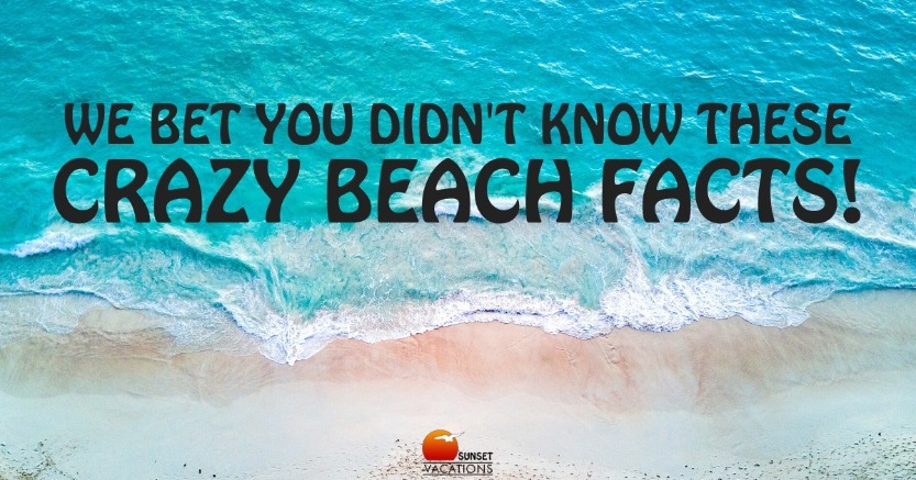 We Bet You Didn't Know These Crazy Beach Facts! 