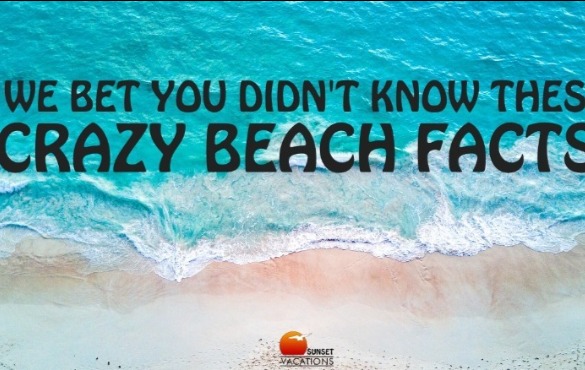 Crazy Beach Facts | Sunset Vacations