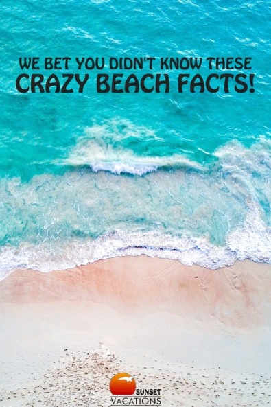 We Bet You Didn't Know These Crazy Beach Facts! 