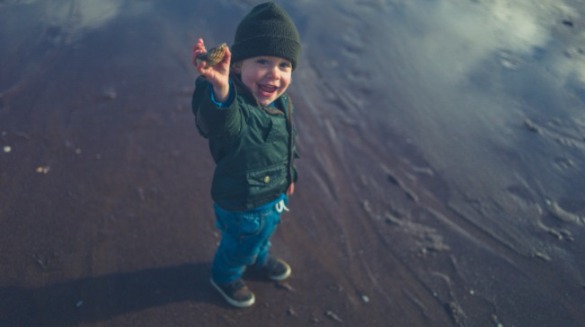 Kid Finding Seashell | Sunset Vacations