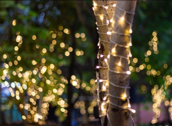 Christmas Lights | Sunset Vacations