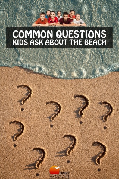 Common Questions Kids Ask About the Beach