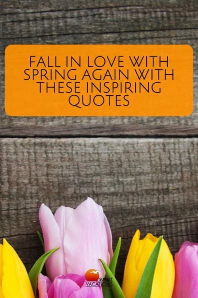 Fall in Love with Spring Again With These Inspiring Quotes | Sunset Vacations