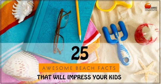 Beach Facts To Impress Your Kids | Sunset Vacations