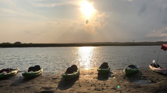 kayak tour with Summertide Adventure Tours | Sunset Vacations