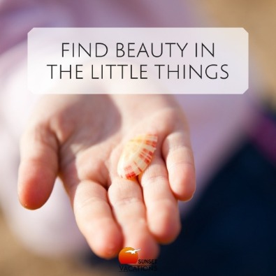 Find beauty in the little things | beach quotes
