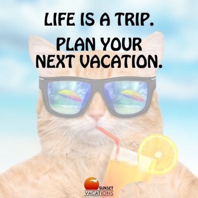 vacation travel meme
