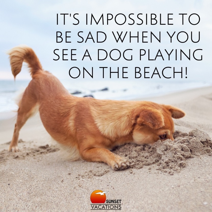 happy beach quotes for winter